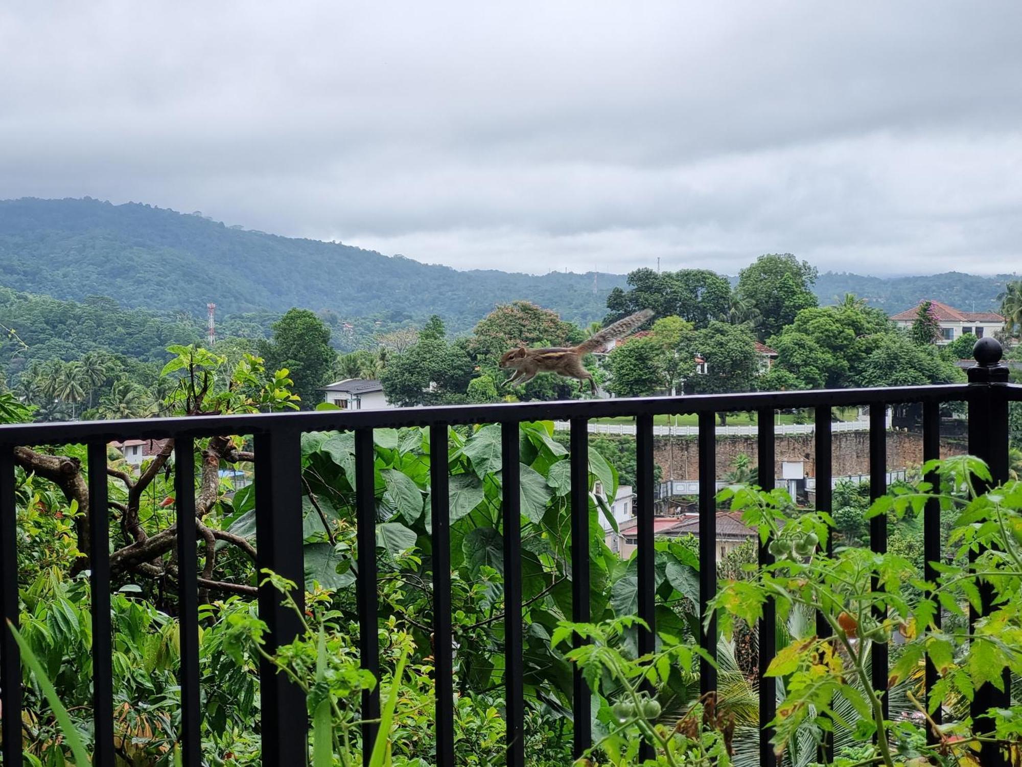Squirrel'S Nest Hotel แคนดี้ ภายนอก รูปภาพ