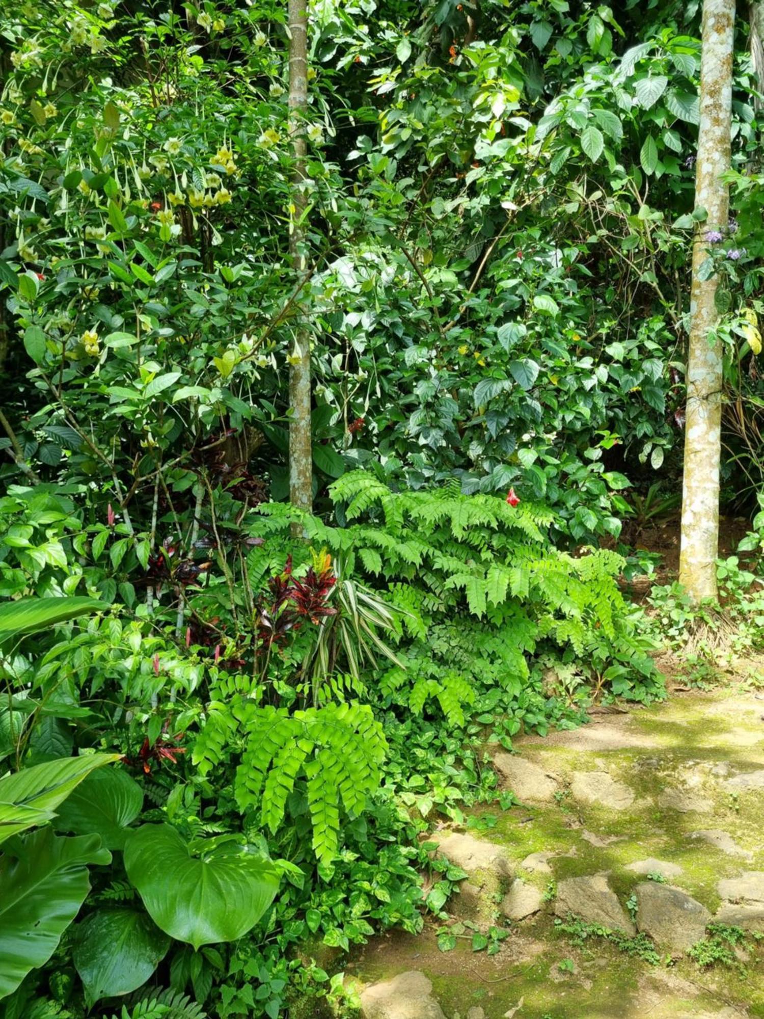 Squirrel'S Nest Hotel แคนดี้ ภายนอก รูปภาพ
